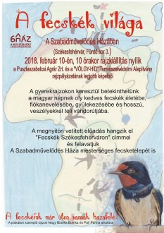 A fecskék világa - mesterséges fecsketelepet is telepítenek A Szabadművelődés Házában